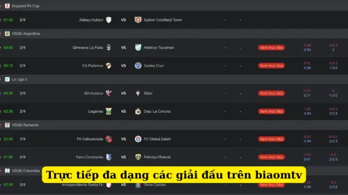 Trực tiếp đa dạng các giải đấu trên biaomtv