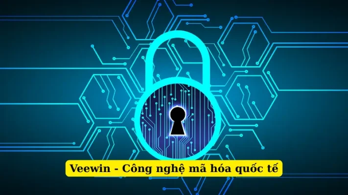Veewin - Công nghệ mã hóa quốc tế